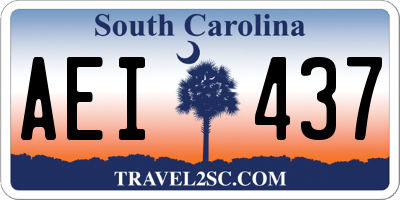 SC license plate AEI437