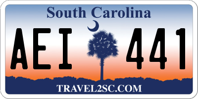 SC license plate AEI441