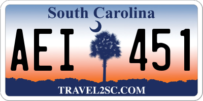 SC license plate AEI451
