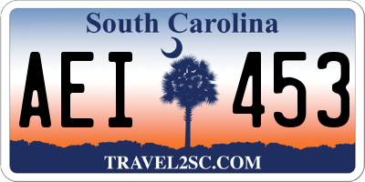 SC license plate AEI453