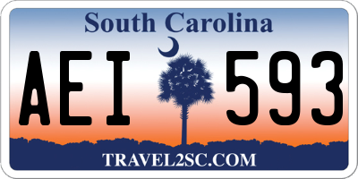 SC license plate AEI593