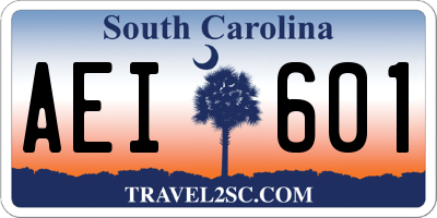 SC license plate AEI601