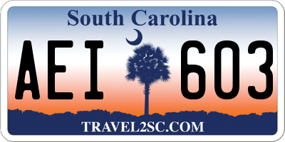 SC license plate AEI603