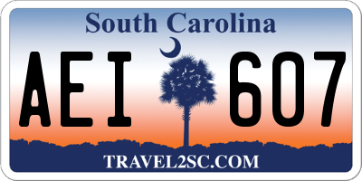 SC license plate AEI607