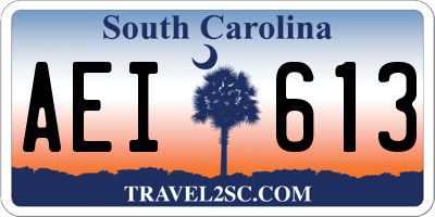 SC license plate AEI613