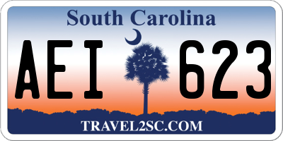 SC license plate AEI623