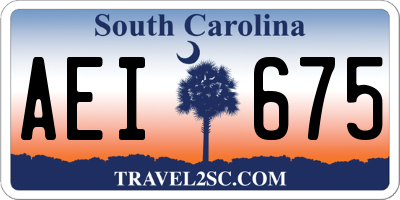 SC license plate AEI675