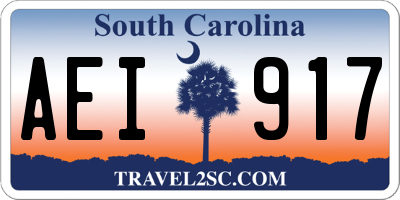 SC license plate AEI917