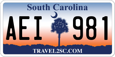 SC license plate AEI981