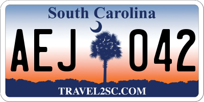 SC license plate AEJ042