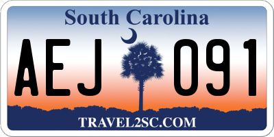 SC license plate AEJ091