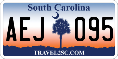 SC license plate AEJ095