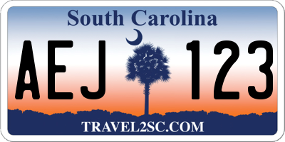 SC license plate AEJ123