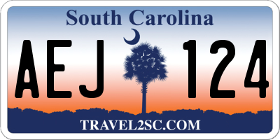 SC license plate AEJ124