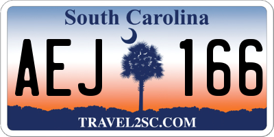 SC license plate AEJ166