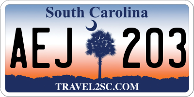 SC license plate AEJ203
