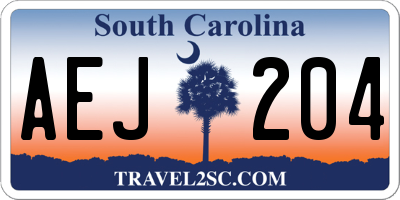SC license plate AEJ204