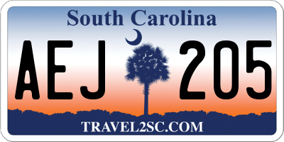 SC license plate AEJ205