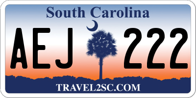SC license plate AEJ222
