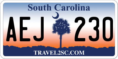 SC license plate AEJ230