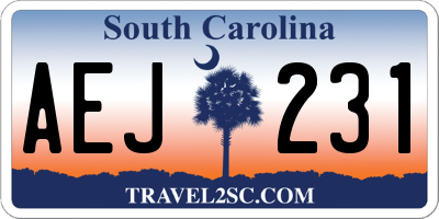 SC license plate AEJ231