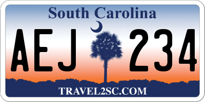 SC license plate AEJ234