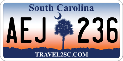 SC license plate AEJ236