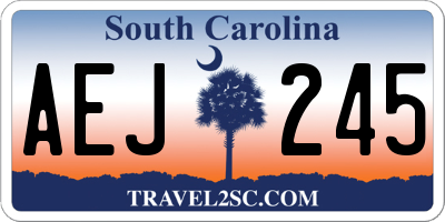 SC license plate AEJ245