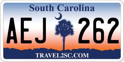 SC license plate AEJ262