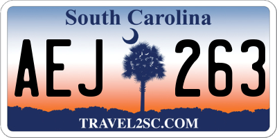 SC license plate AEJ263