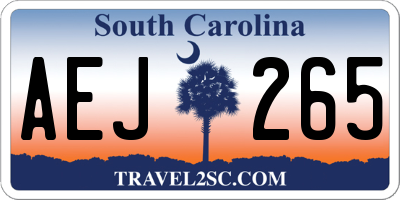 SC license plate AEJ265