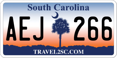 SC license plate AEJ266