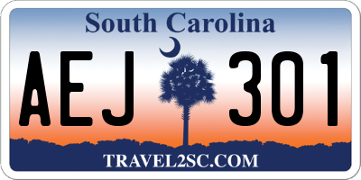 SC license plate AEJ301