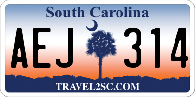 SC license plate AEJ314
