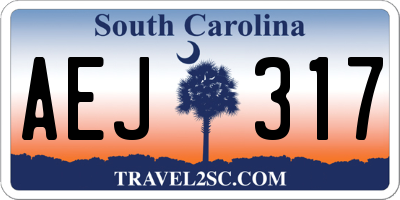 SC license plate AEJ317