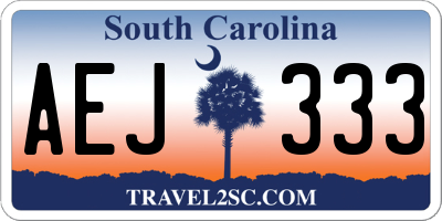 SC license plate AEJ333