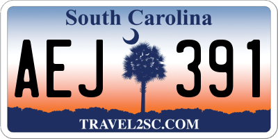 SC license plate AEJ391