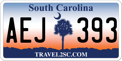 SC license plate AEJ393