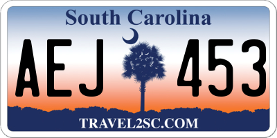 SC license plate AEJ453