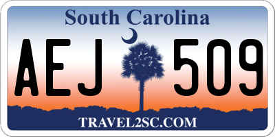 SC license plate AEJ509