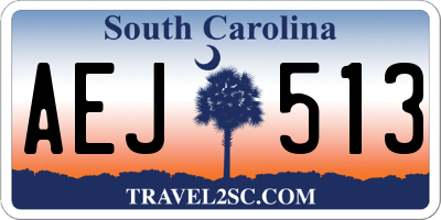 SC license plate AEJ513