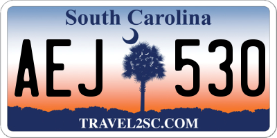 SC license plate AEJ530