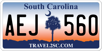 SC license plate AEJ560