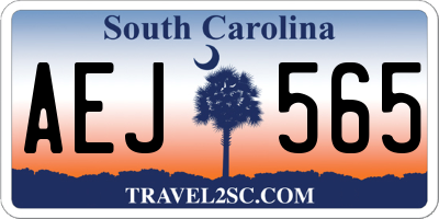 SC license plate AEJ565