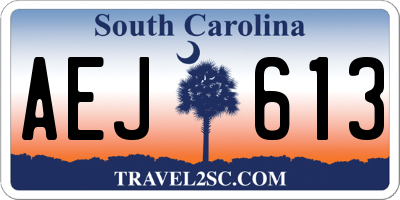 SC license plate AEJ613