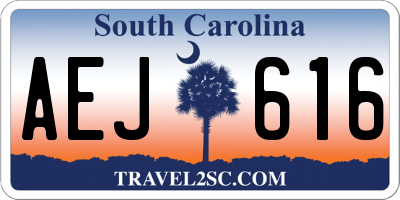 SC license plate AEJ616