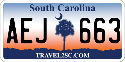 SC license plate AEJ663
