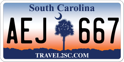 SC license plate AEJ667