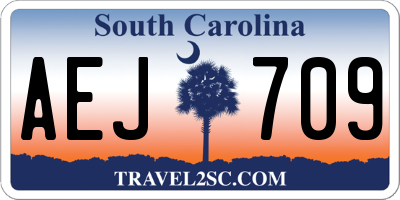 SC license plate AEJ709