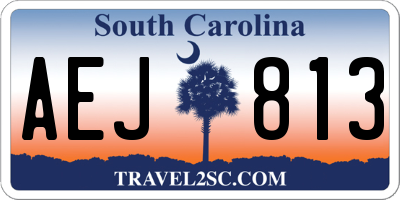 SC license plate AEJ813